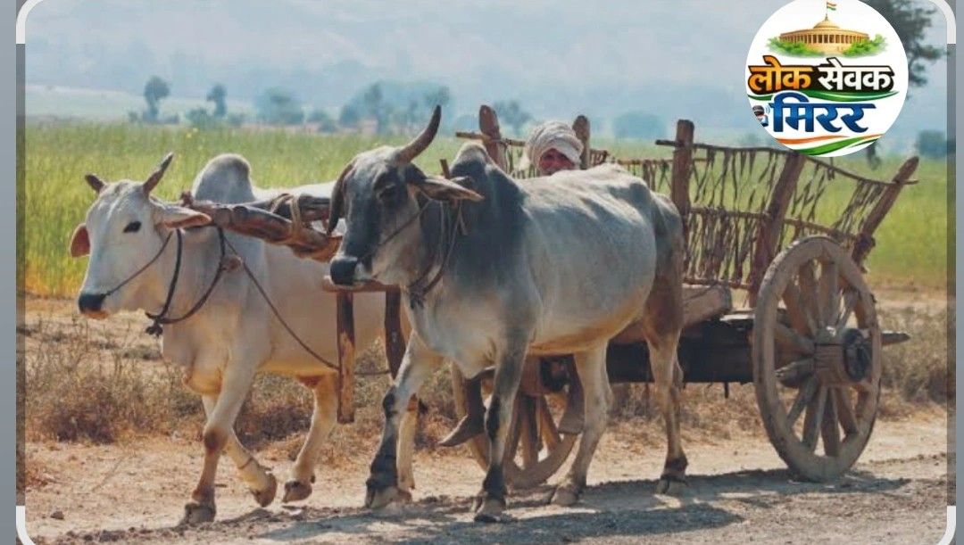 भीषण गर्मी को देखते हुए पशुओं के उपयोग पर दोपहर में प्रतिबंध